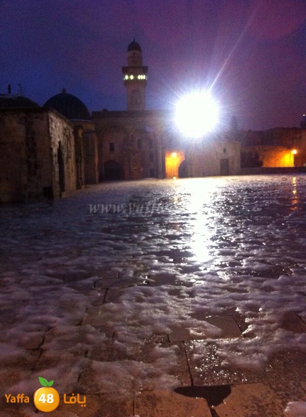 snow yaffa guys (14).JPG